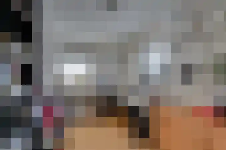 Josine Reulinglaan 1 Vlissingen thumbnail 89