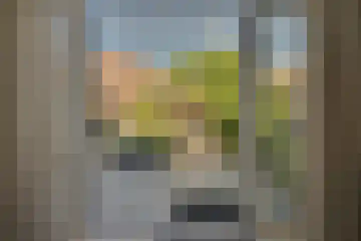Josine Reulinglaan 1 Vlissingen thumbnail 99