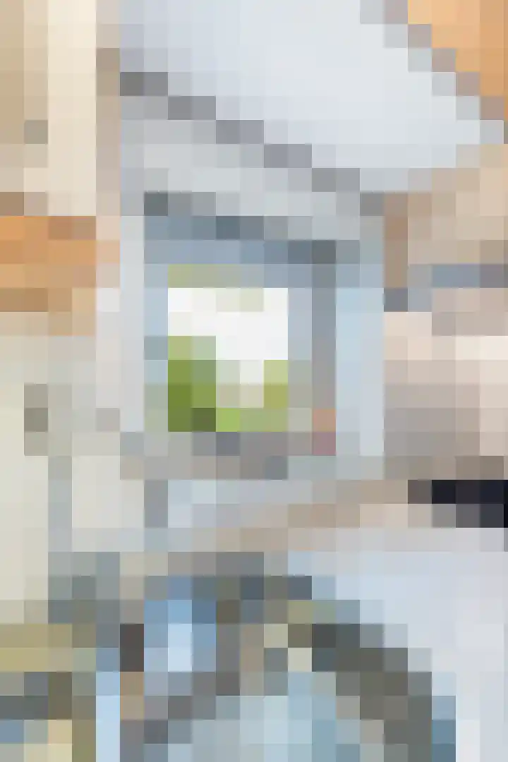 Josine Reulinglaan 12 Vlissingen thumbnail 28