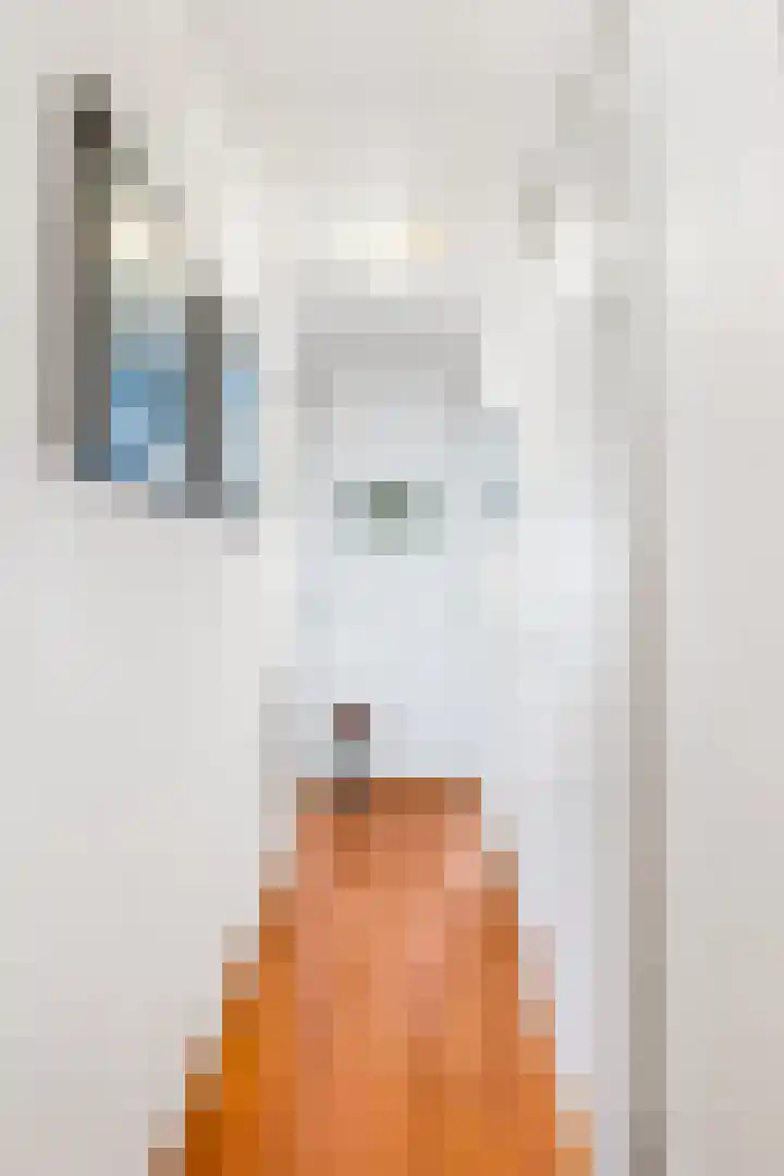 Josine Reulinglaan 12 Vlissingen thumbnail 31