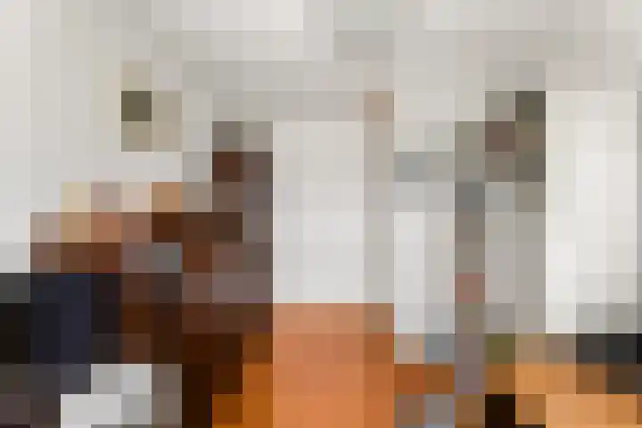 Josine Reulinglaan 12 Vlissingen thumbnail 36