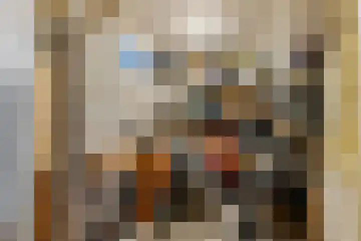 Josine Reulinglaan 12 Vlissingen thumbnail 43