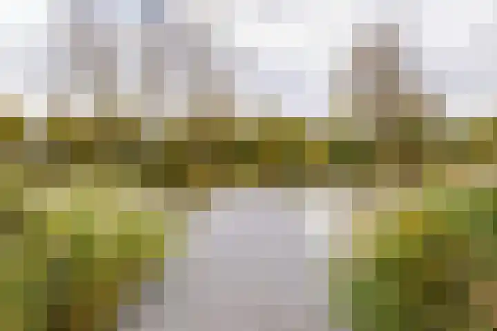 Josine Reulinglaan 12 Vlissingen thumbnail 7