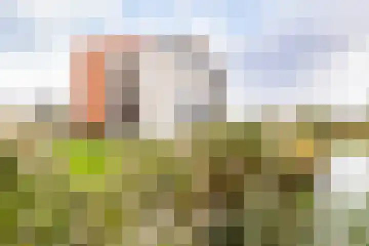 Josine Reulinglaan 12 Vlissingen thumbnail 8