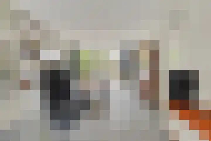 Josine Reulinglaan 19 Vlissingen thumbnail 10