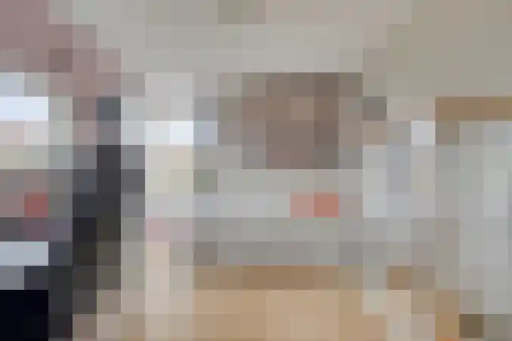 Josine Reulinglaan 19 Vlissingen thumbnail 20
