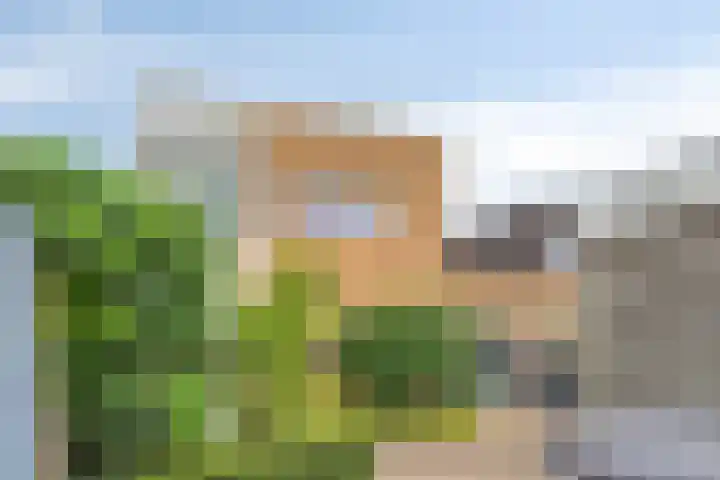 Josine Reulinglaan 19 Vlissingen thumbnail 32