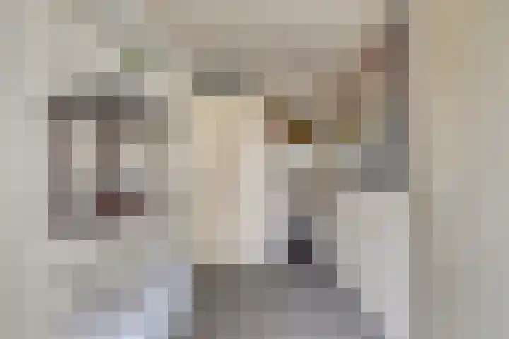 Josine Reulinglaan 19 Vlissingen thumbnail 4