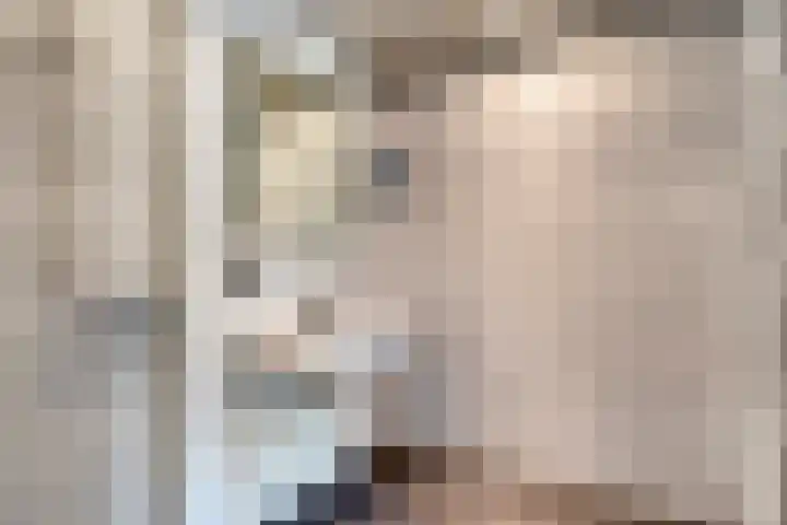 Josine Reulinglaan 19 Vlissingen thumbnail 8