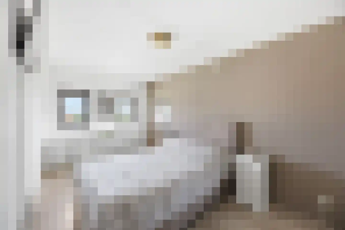 Josine Reulinglaan 22 Vlissingen thumbnail 28