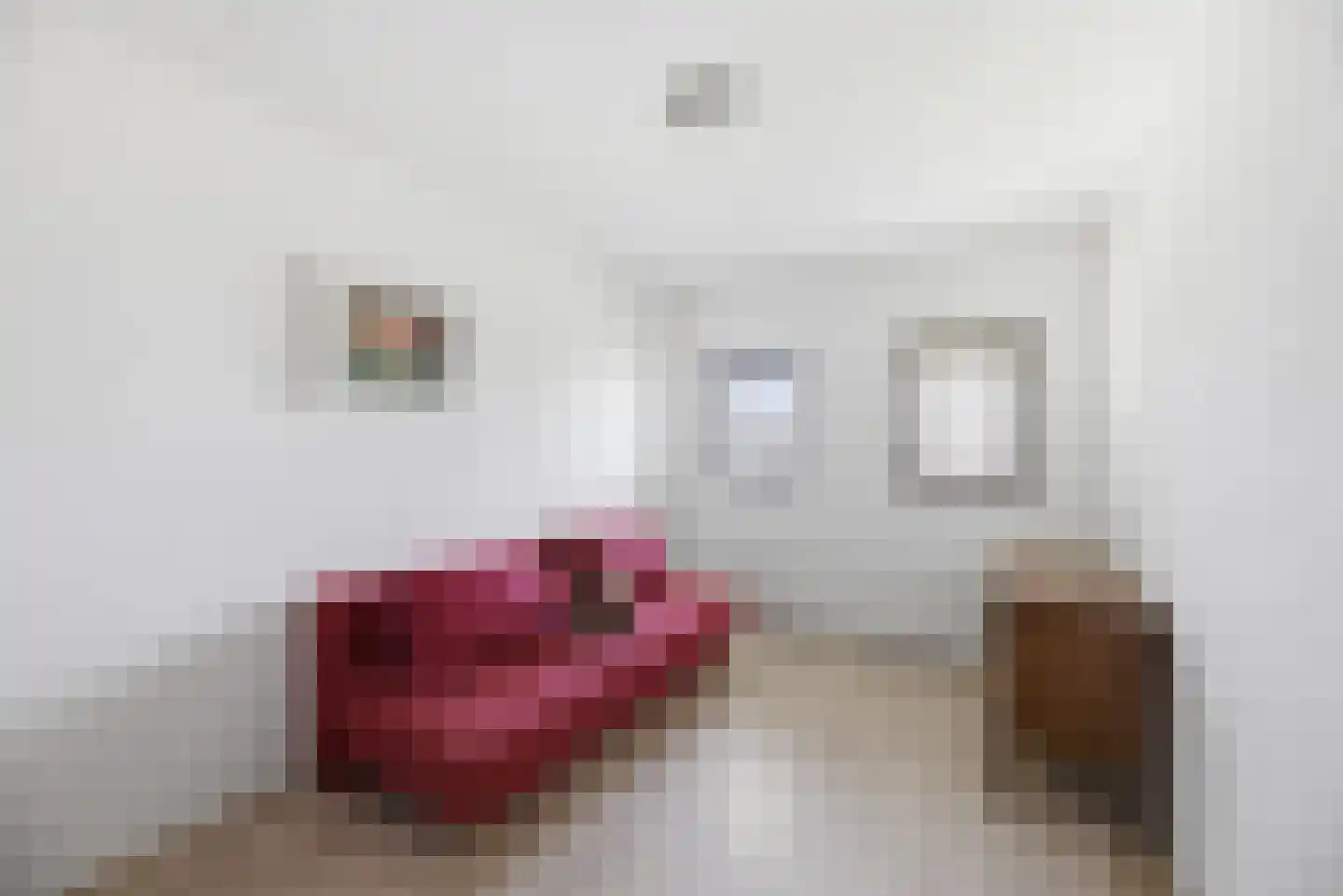Josine Reulinglaan 22 Vlissingen thumbnail 30
