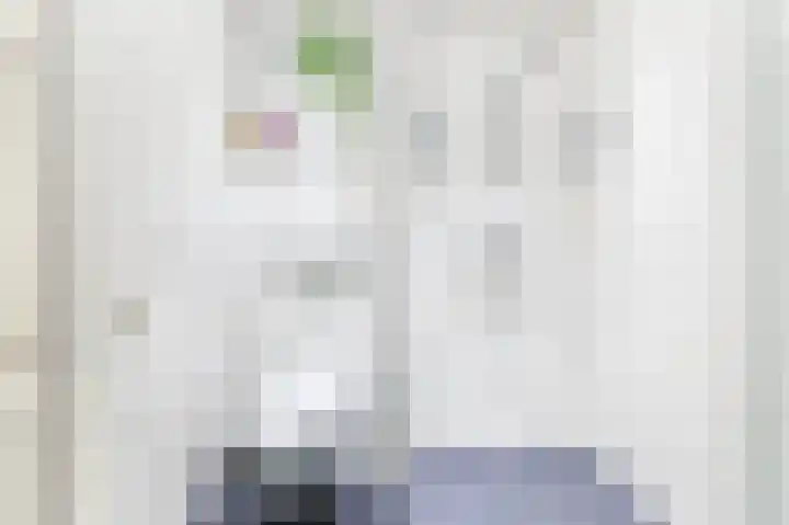 Josine Reulinglaan 7 Vlissingen thumbnail 30