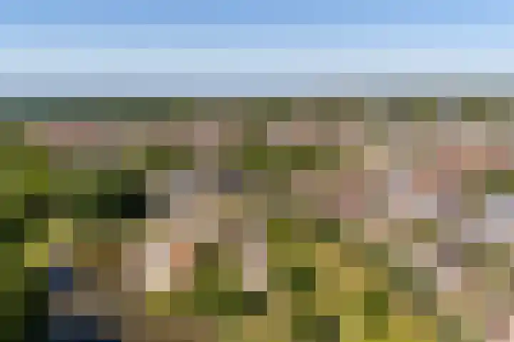 Josine Reulinglaan 7 Vlissingen thumbnail 31