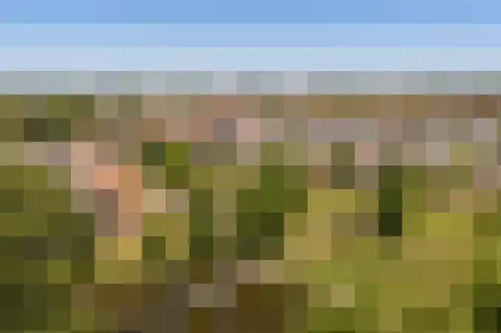 Josine Reulinglaan 7 Vlissingen thumbnail 32