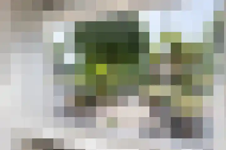 Josine Reulinglaan 7 Vlissingen thumbnail 9