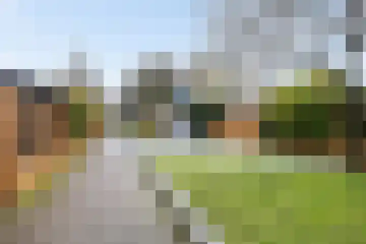 Josine Reulingstraat 44 Groningen thumbnail 37