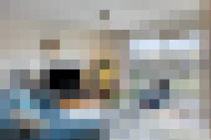 Josine Reulingstraat 44 Groningen thumbnail 6