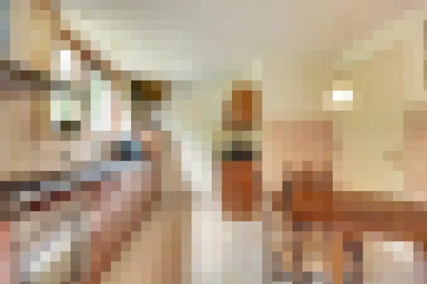 Josuëlaan 4 Heilig Landstichting thumbnail 10
