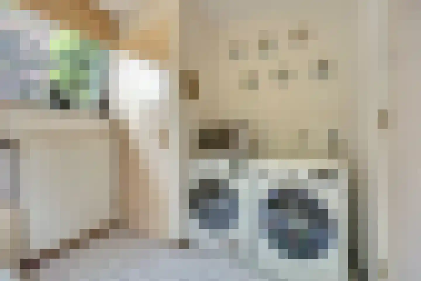 Josuëlaan 4 Heilig Landstichting thumbnail 11