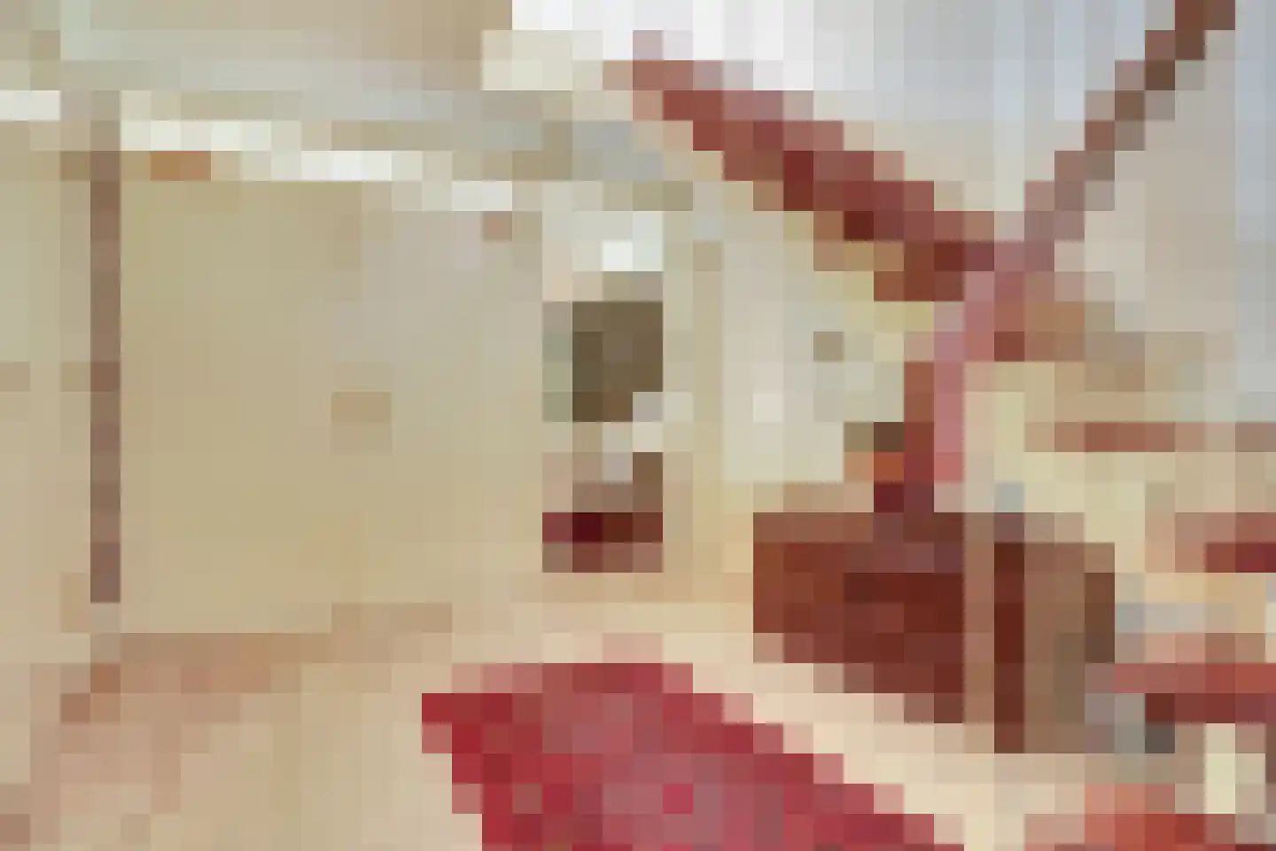 Josuëlaan 4 Heilig Landstichting thumbnail 12