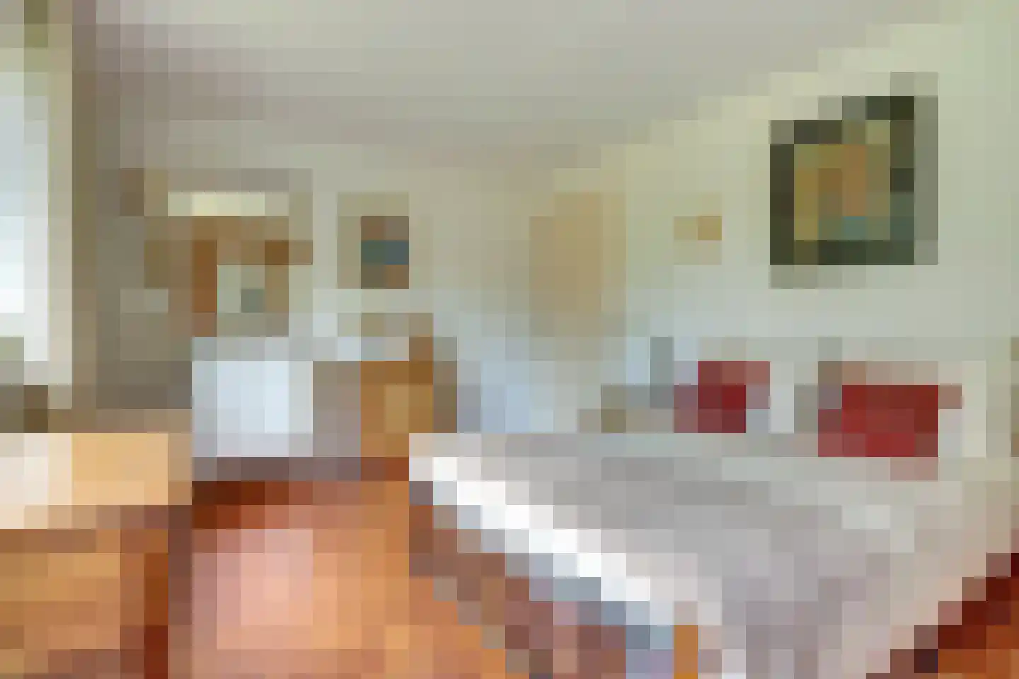 Josuëlaan 4 Heilig Landstichting thumbnail 18