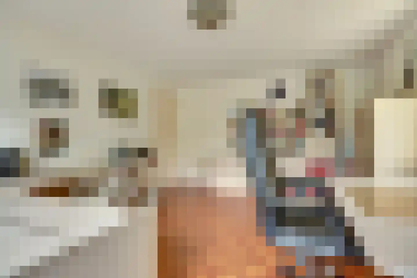 Josuëlaan 4 Heilig Landstichting thumbnail 23