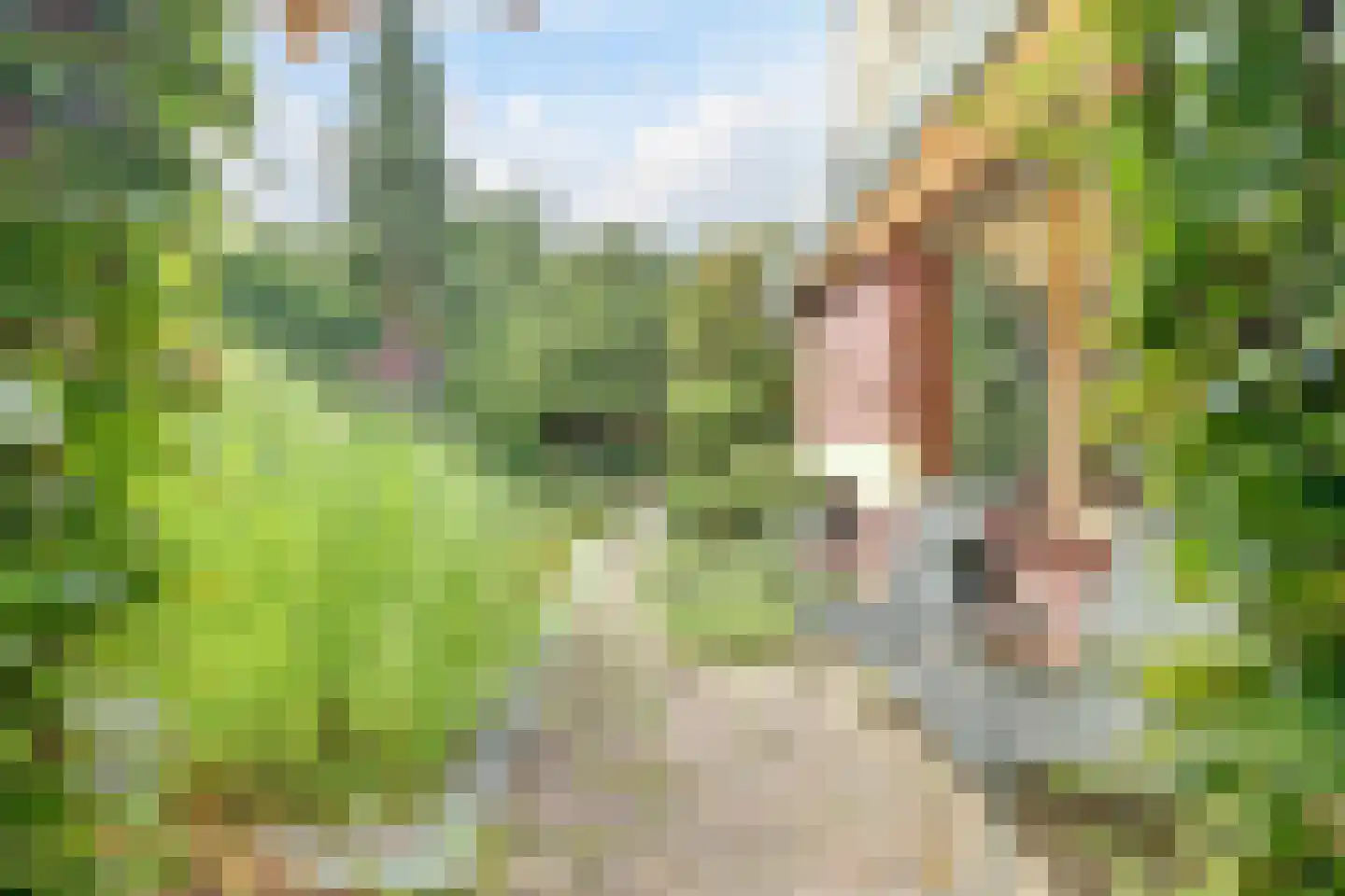 Josuëlaan 4 Heilig Landstichting thumbnail 32