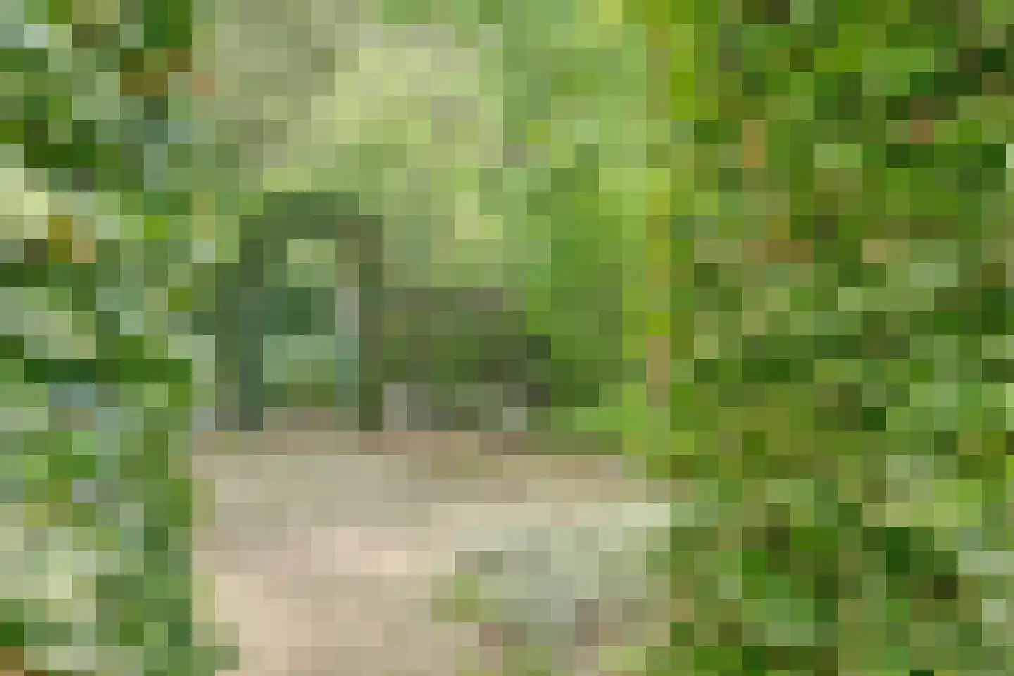 Josuëlaan 4 Heilig Landstichting thumbnail 34