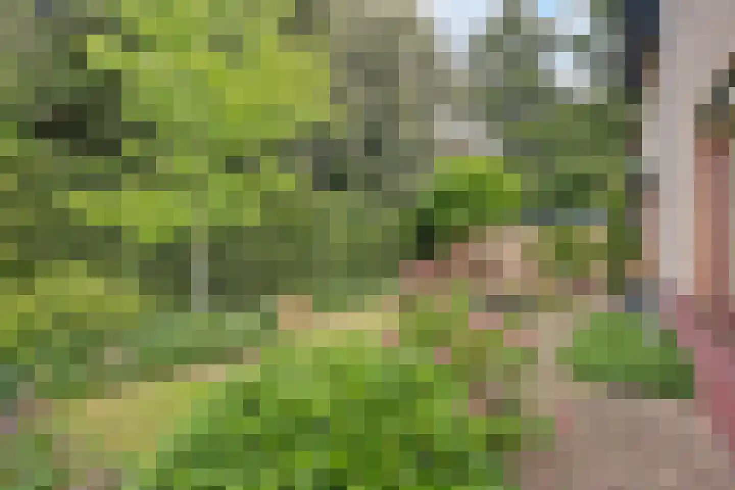 Josuëlaan 4 Heilig Landstichting thumbnail 35