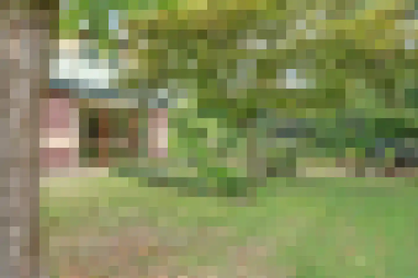Josuëlaan 4 Heilig Landstichting thumbnail 36