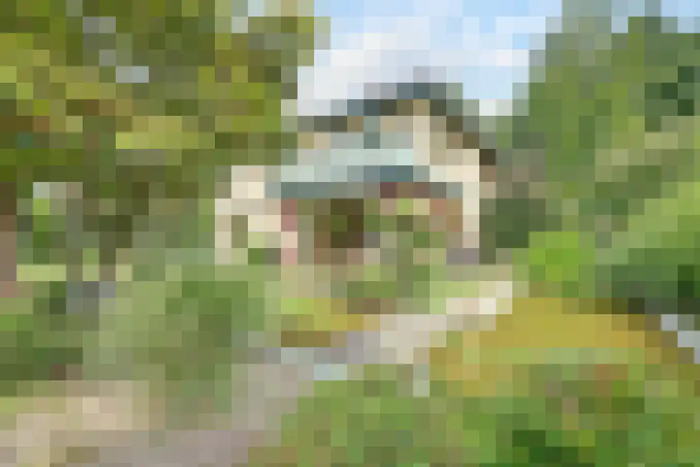 Josuëlaan 4 Heilig Landstichting thumbnail 37