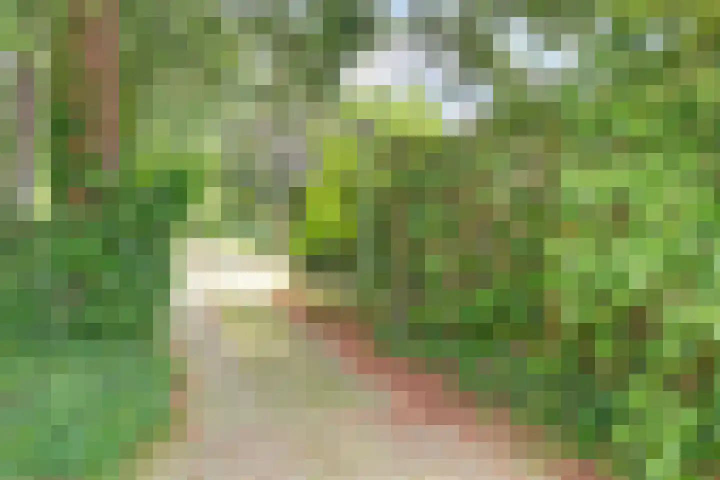 Josuëlaan 4 Heilig Landstichting thumbnail 39