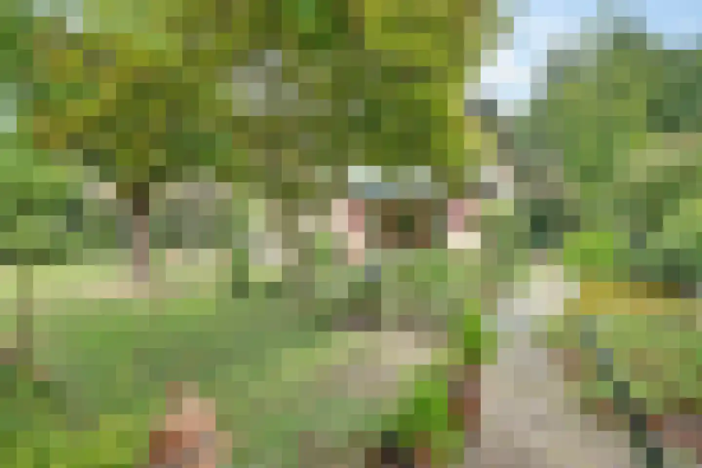 Josuëlaan 4 Heilig Landstichting thumbnail 40