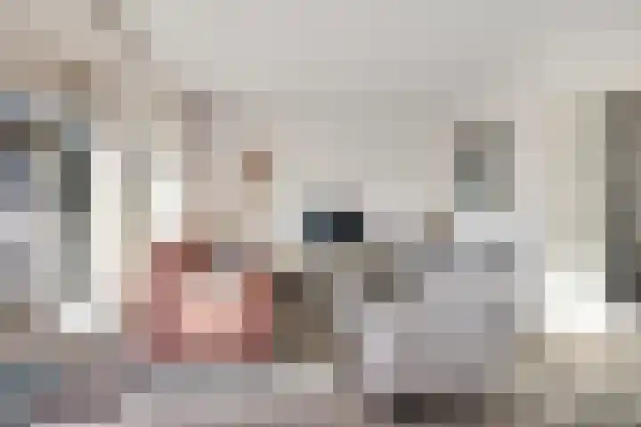 Jotterpad 1 Huizen thumbnail 13