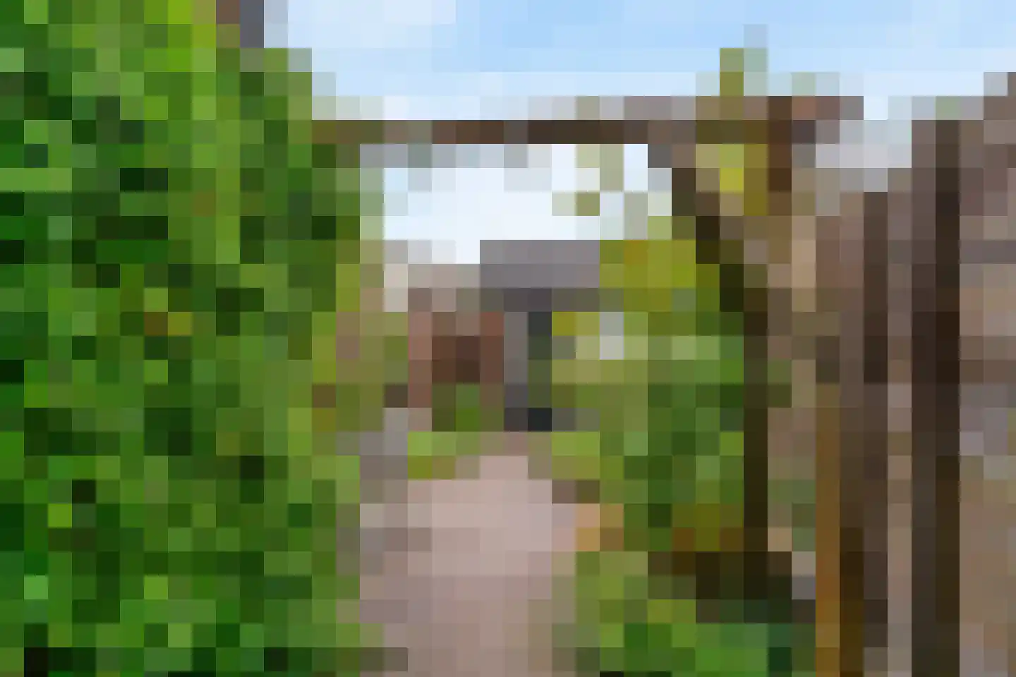 Joubertlaan 8 Zeist thumbnail 24