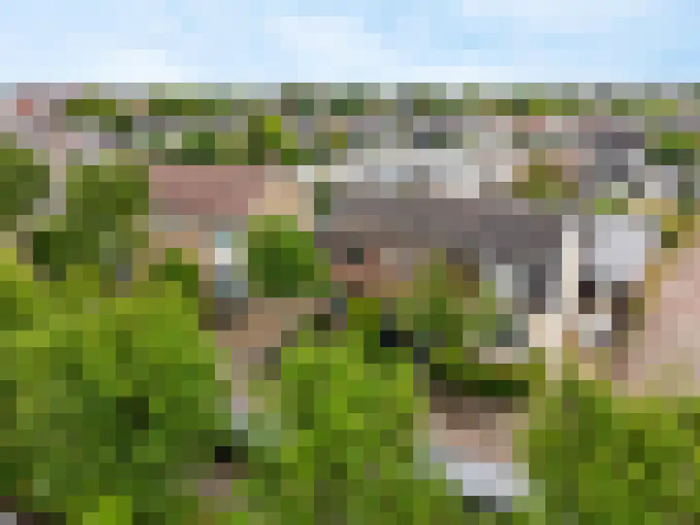 Joubertlaan 8 Zeist thumbnail 31