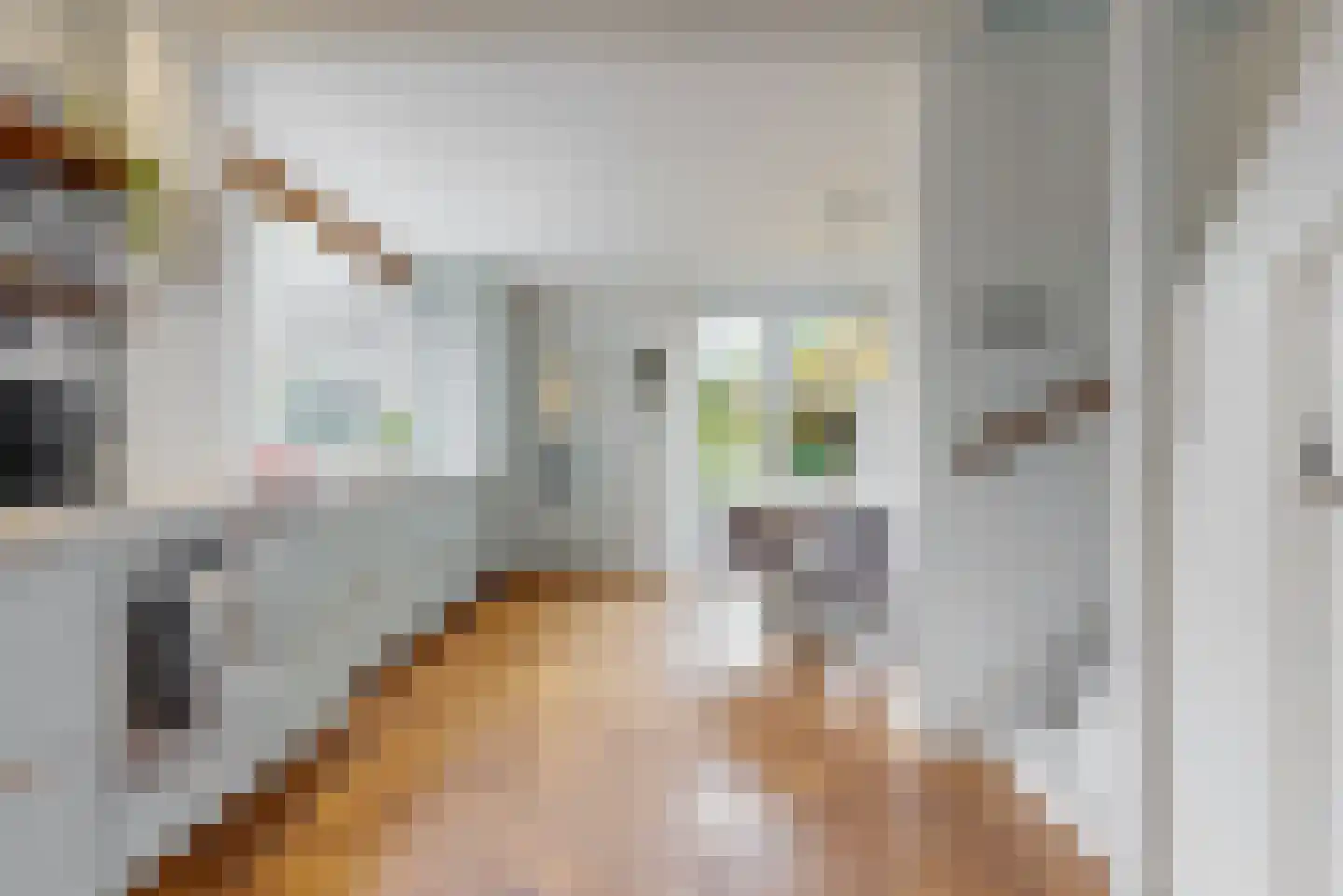 Joubertlaan 8 Zeist thumbnail 6