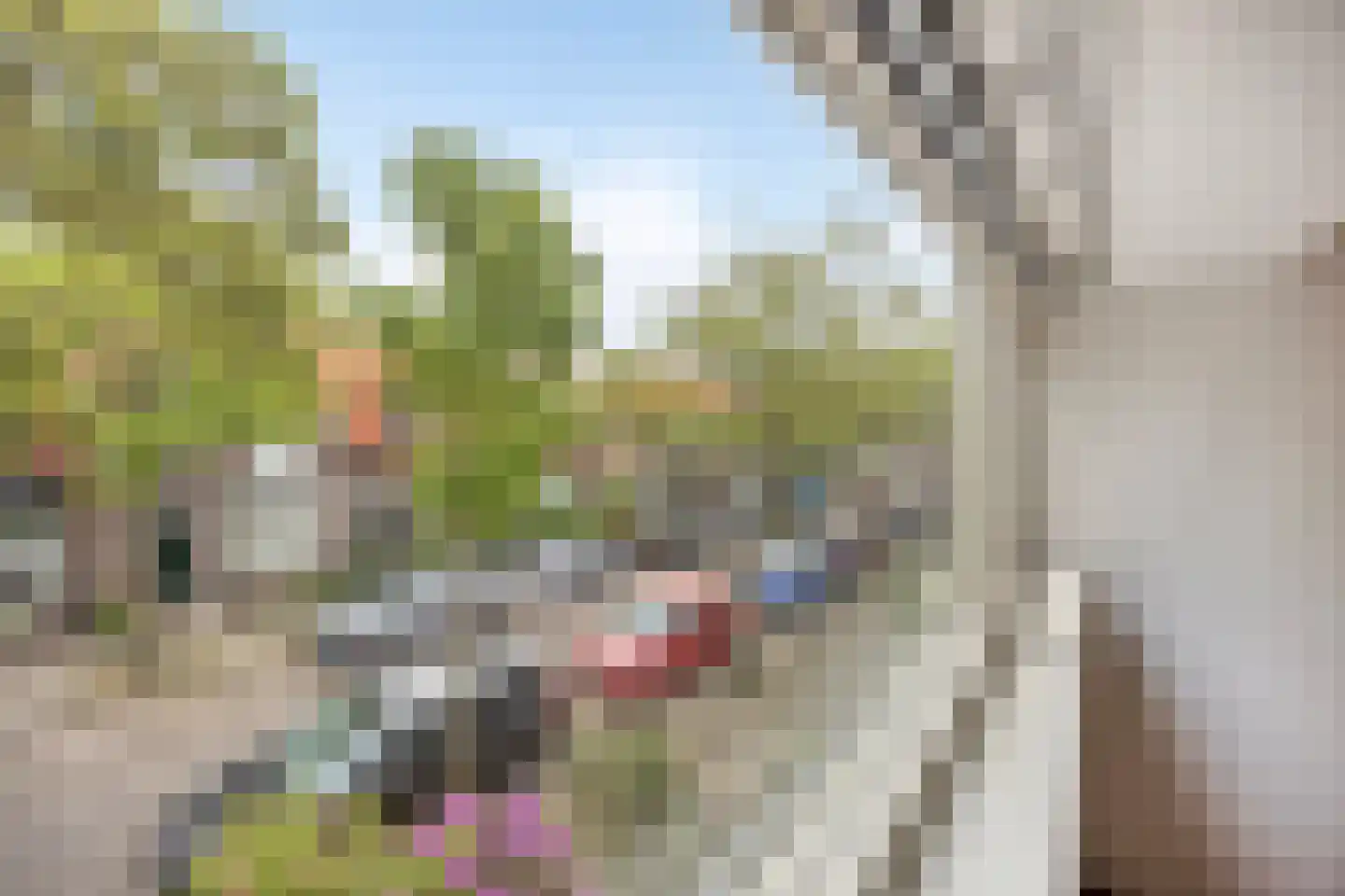 Joubertstraat 16 Den Helder thumbnail 21