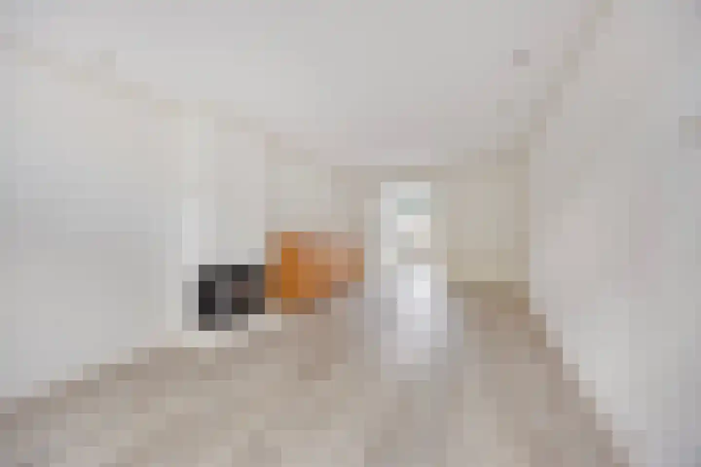Joubertstraat 16 Den Helder thumbnail 5
