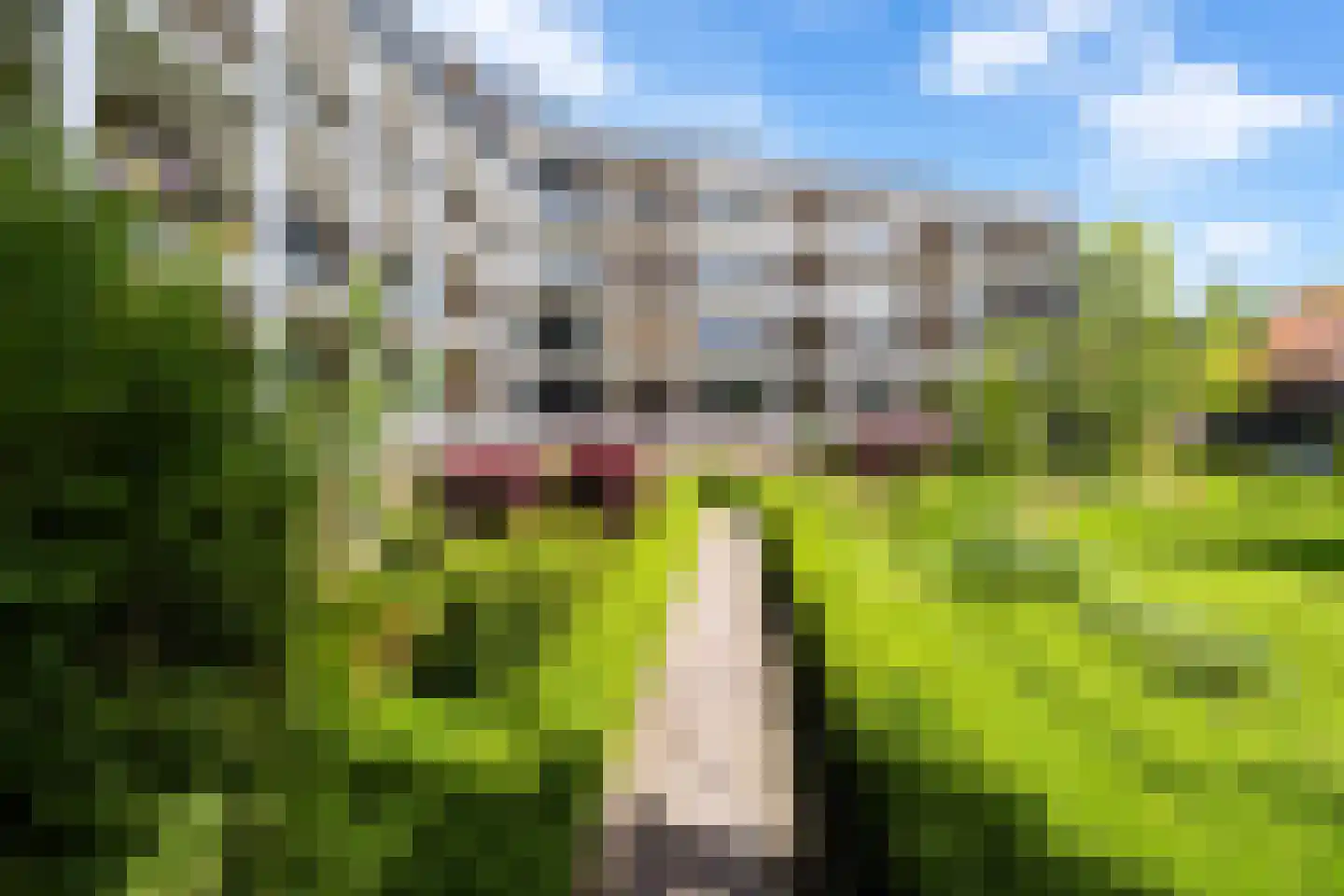 Joubertstraat 179 Gouda thumbnail 5