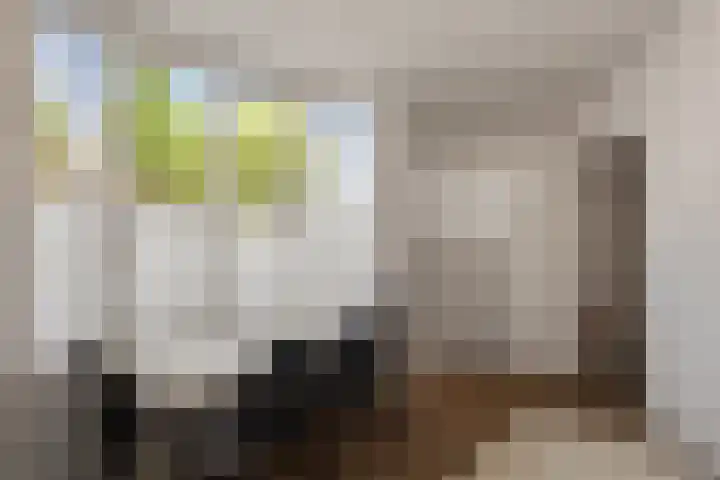 Joubertstraat 2 Den Helder thumbnail 12