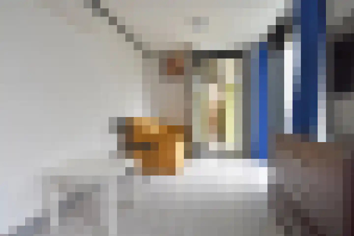 Joubertstraat 203 Den Haag thumbnail 10