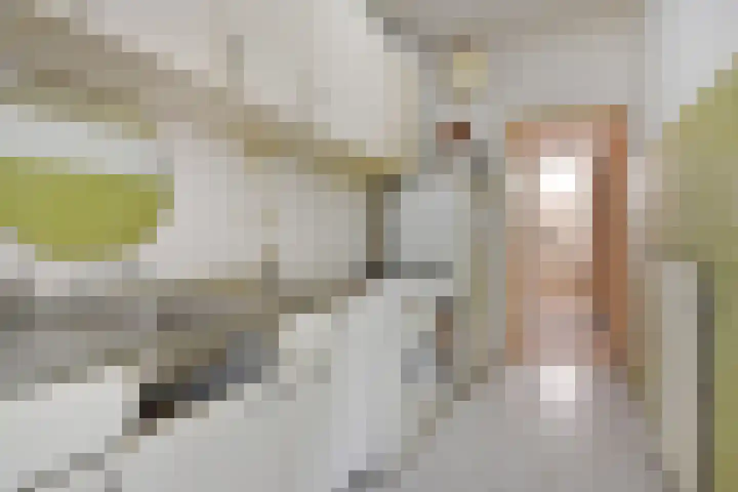 Joubertstraat 203 Den Haag thumbnail 5