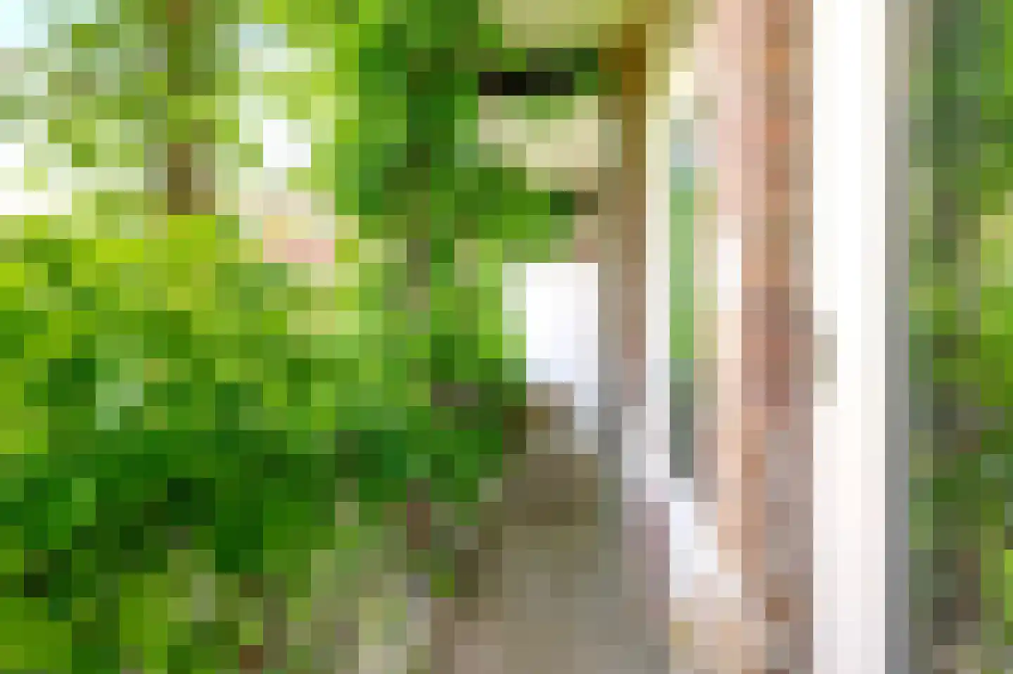 Joubertstraat 21 3 Amsterdam thumbnail 4