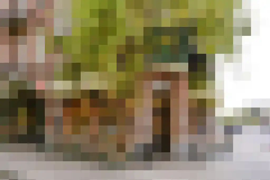 Joubertstraat 23 2 Amsterdam thumbnail 22