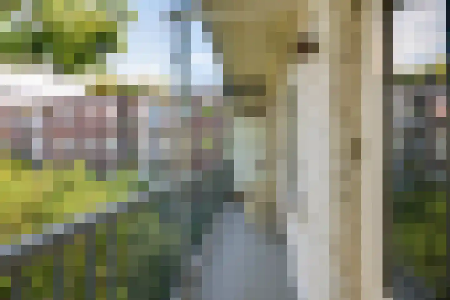 Joubertstraat 23 2 Amsterdam thumbnail 9