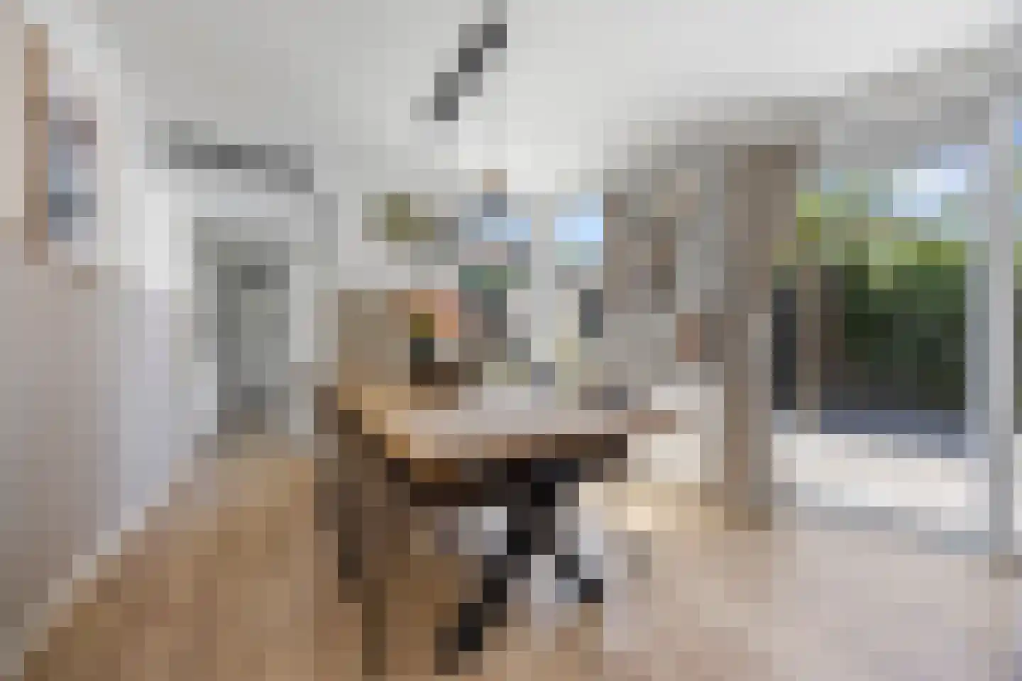Joubertstraat 31 Nijmegen thumbnail 12