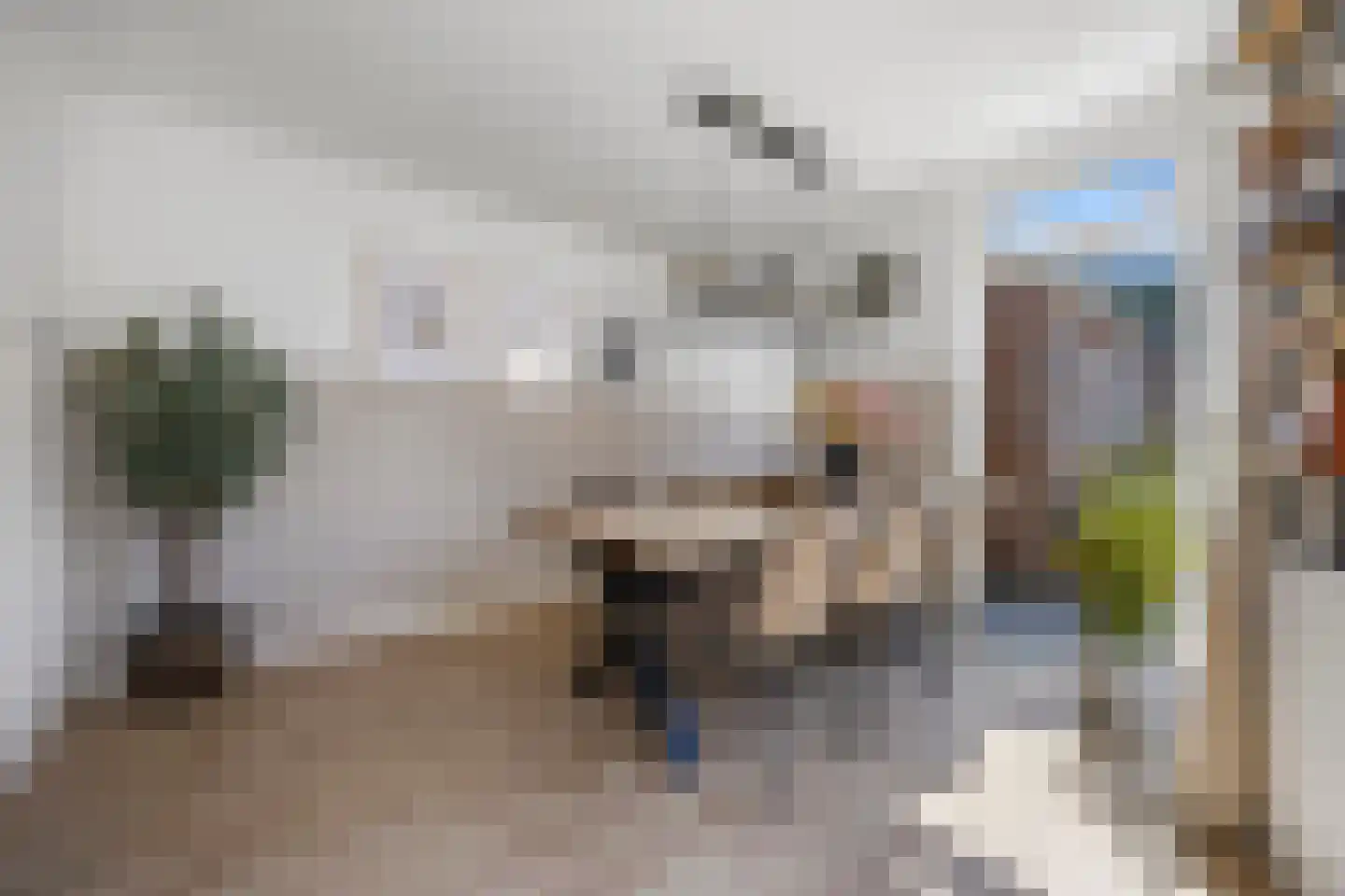Joubertstraat 31 Nijmegen thumbnail 31