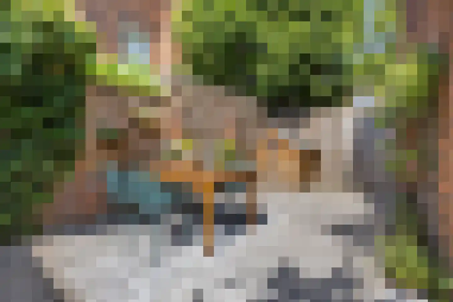 Joubertstraat 31 Nijmegen thumbnail 33