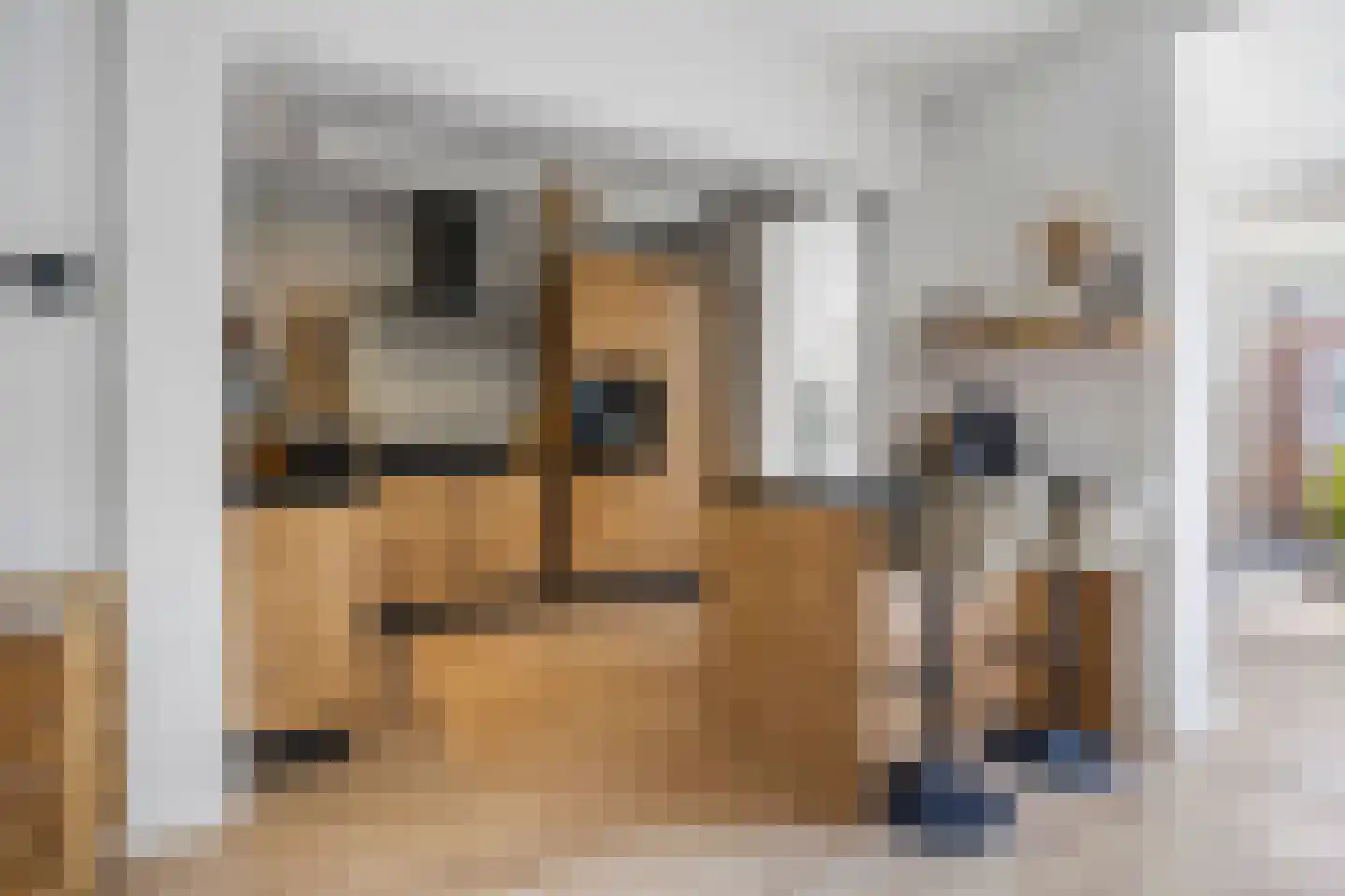 Joubertstraat 31 Nijmegen thumbnail 9